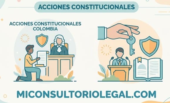 Acciones constitucionales